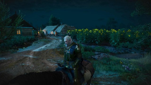 witcher3 2022-02-12 22-15-03-14.jpg