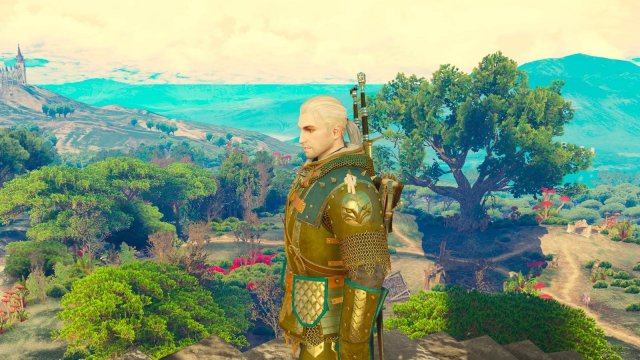 witcher3 2022-02-10 23-31-47-10.jpg