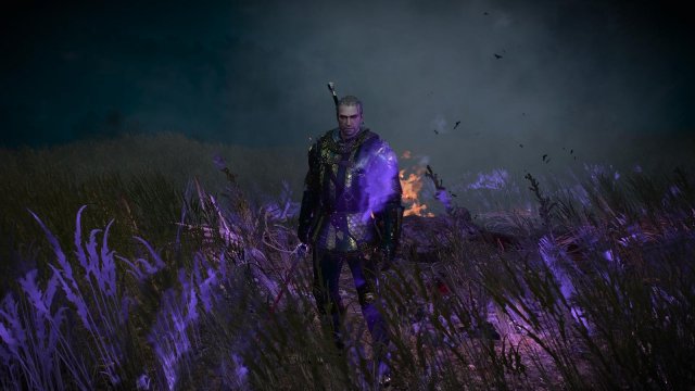 witcher3 2022-01-16 23-22-23-07.jpg