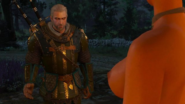 witcher3 2022-02-11 22-43-40-17.jpg