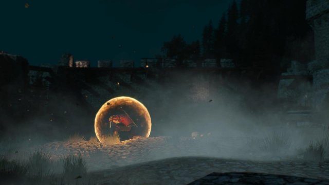 witcher3 2022-01-19 22-52-38-11.jpg