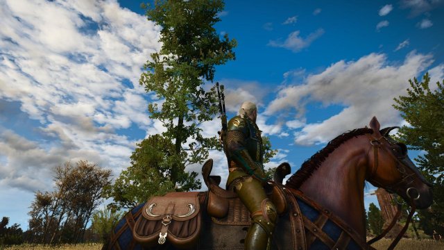 witcher3 2022-04-21 21-09-58-38.jpg