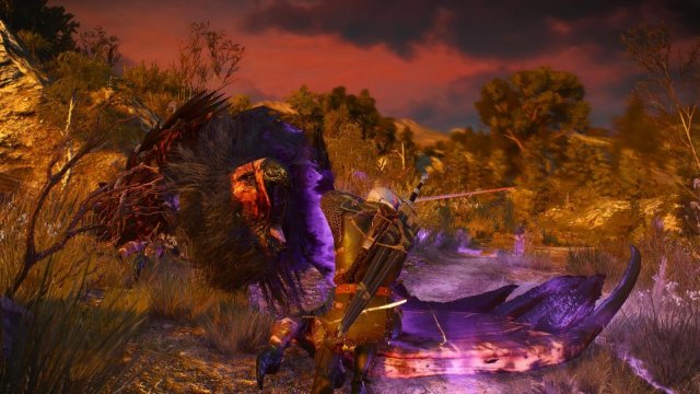 witcher3 2022-01-17 23-23-51-59.jpg