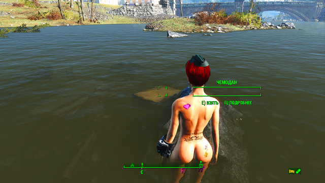 Чемодан Айви.png