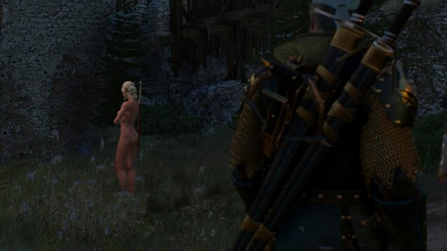 witcher3 2022-01-19 23-33-35-22.jpg