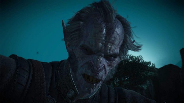 witcher3 2022-02-11 00-03-05-58.jpg