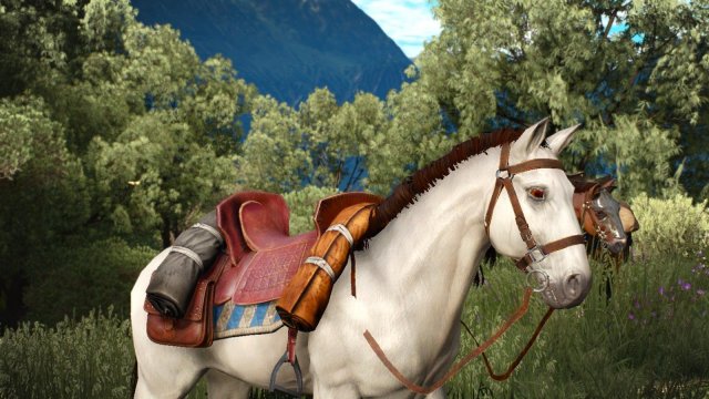 witcher3 2022-01-31 21-48-30-12.jpg