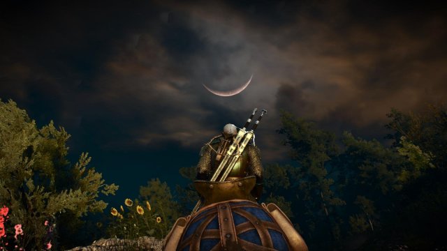 witcher3 2022-01-16 23-25-06-36.jpg