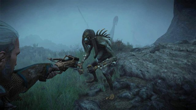 witcher3 2022-01-19 21-50-39-70.jpg