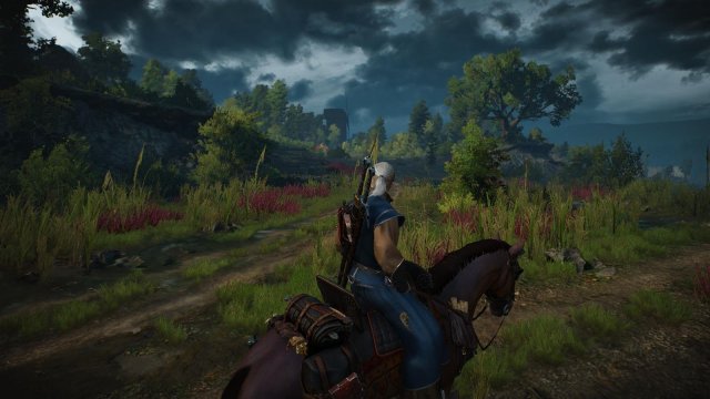 witcher3 2022-04-27 23-44-28-86.jpg
