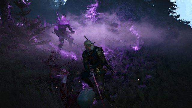 witcher3 2022-01-18 00-48-32-09.jpg