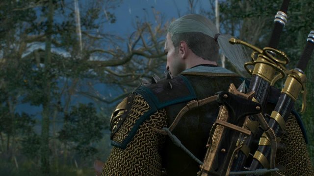 witcher3 2022-01-13 00-45-15-28.jpg