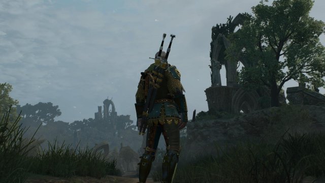 witcher3 2022-02-09 23-14-33-20.jpg