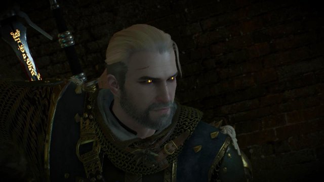 witcher3 2022-02-12 00-20-23-21.jpg