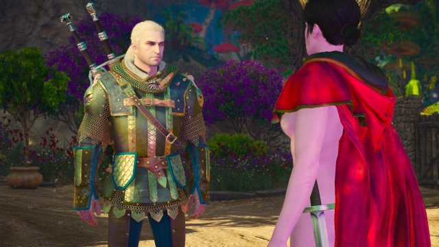 witcher3 2022-02-10 23-21-53-47.jpg