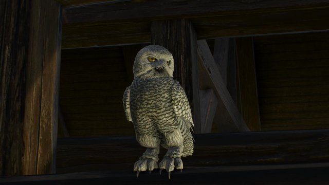 witcher3 2022-01-22 14-48-17-25.jpg