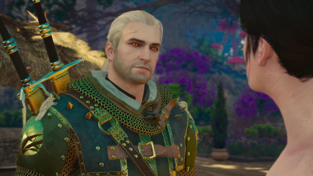 witcher3 2022-02-10 23-17-28-24.jpg