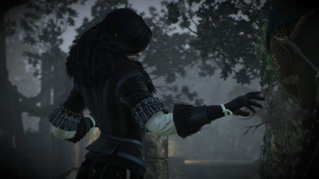 witcher3 2022-01-11 22-18-53-36.jpg