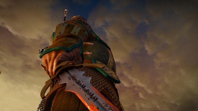 witcher3 2022-01-14 23-05-50-21.jpg