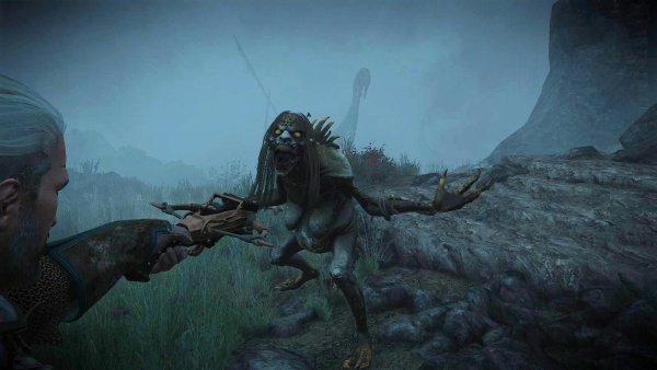 ВОДНАЯ БАБА, или монстры мира Ведьмак 3