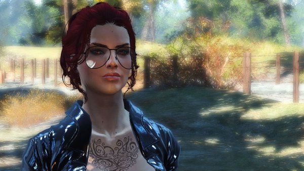 ВАМП + пресет.. Fallout-4 (Сборка 7.0)