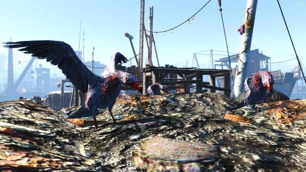 Чайки , чур меня . .png