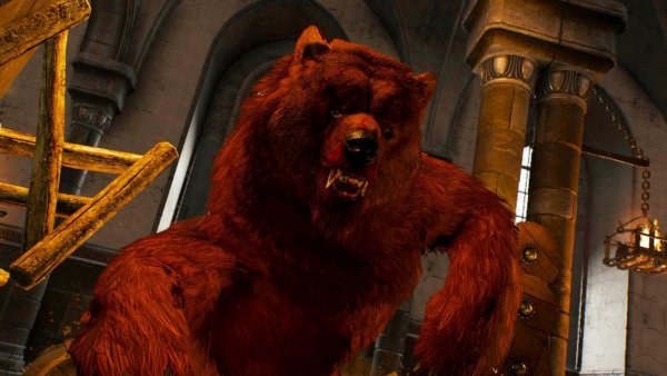 Медведь-оборотень.. Ведьмак III