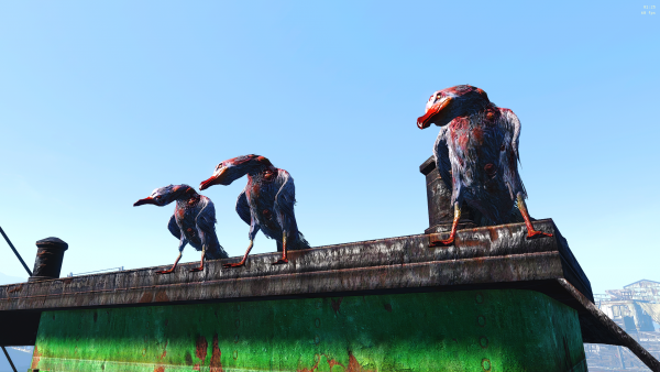 Вот такие птички ..png