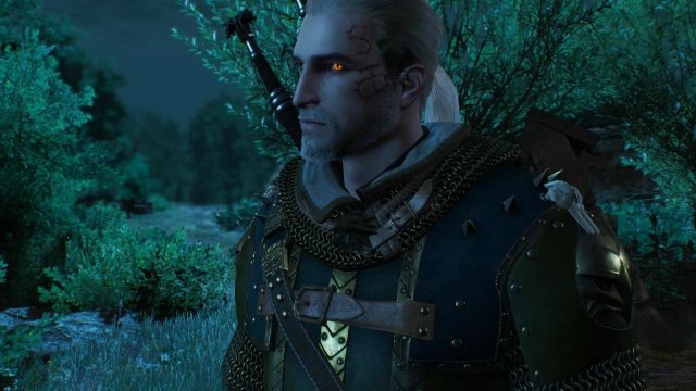 witcher3 2022-02-12 22-05-47-70.jpg