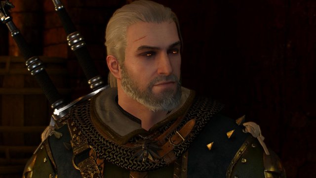 witcher3 2022-01-19 22-43-00-19.jpg