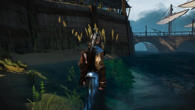 witcher3 2022-04-28 22-02-32-43.jpg