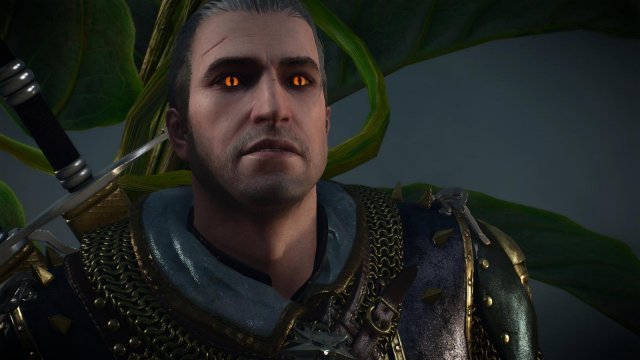 witcher3 2022-02-10 23-51-08-75.jpg