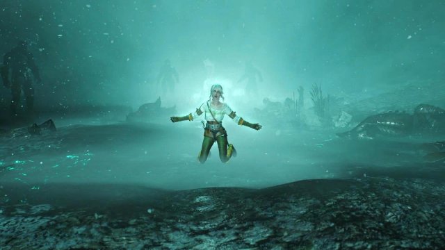 witcher3 2022-01-19 23-18-28-39.jpg