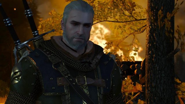witcher3 2022-01-19 23-31-46-13.jpg
