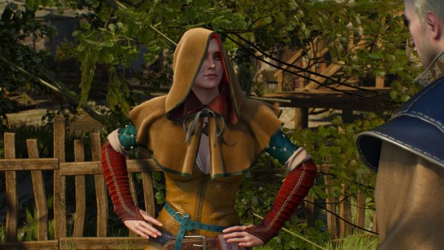 witcher3 2022-04-28 22-13-58-73.jpg