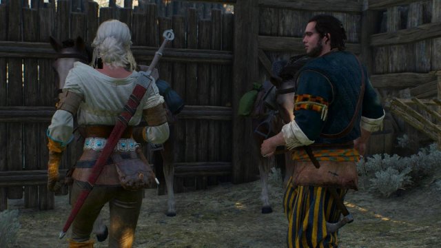 witcher3 2022-01-11 22-39-03-44.jpg