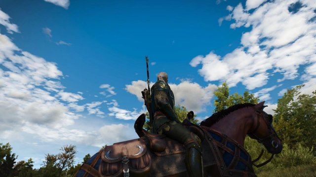 witcher3 2022-04-21 21-12-01-95.jpg