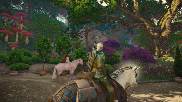 witcher3 2022-02-10 23-25-30-69.jpg