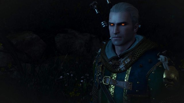 witcher3 2022-01-29 00-23-31-15.jpg