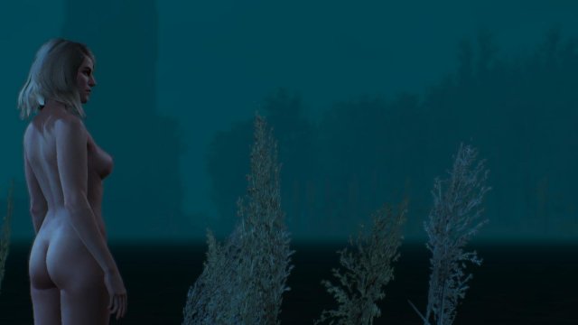 witcher3 2022-05-05 22-33-46-20.jpg