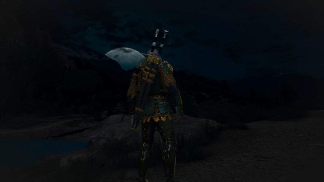 witcher3 2022-01-29 00-18-23-95.jpg