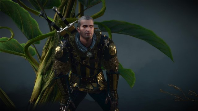 witcher3 2022-02-10 23-51-07-72.jpg