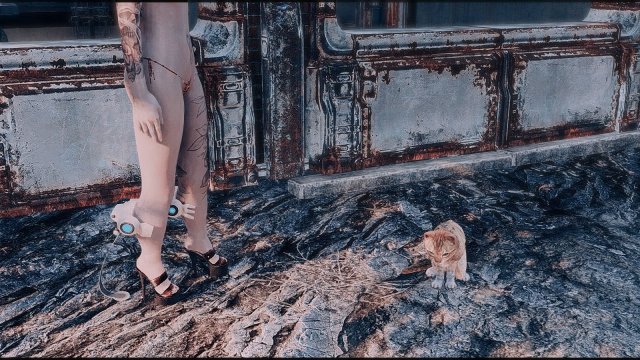 Fallout4 2022-05-21 21-22-19.jpg