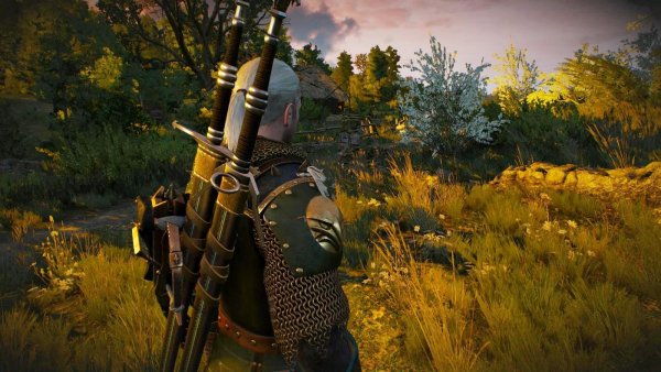 ПЕЙЗАЖНОЕ с Геральтом.. Ведьмак III (сборка Торна)