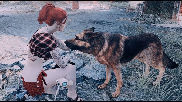 Вамп и псинка ) Fallout-4 (Сборка 7.5)