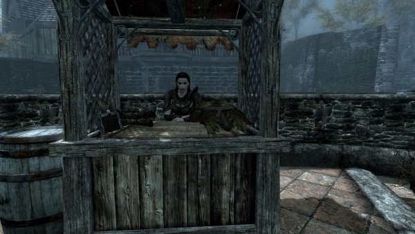ScreenShot519.jpg