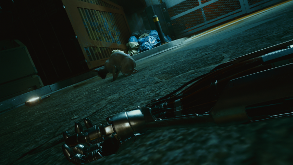 photomode_15052022_163722