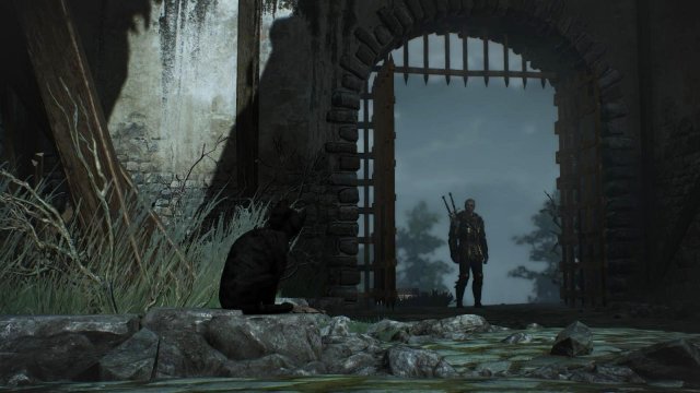 witcher3 2022-04-21 21-22-58-07.jpg