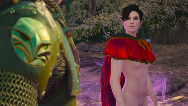 witcher3 2022-02-10 23-21-31-90.jpg