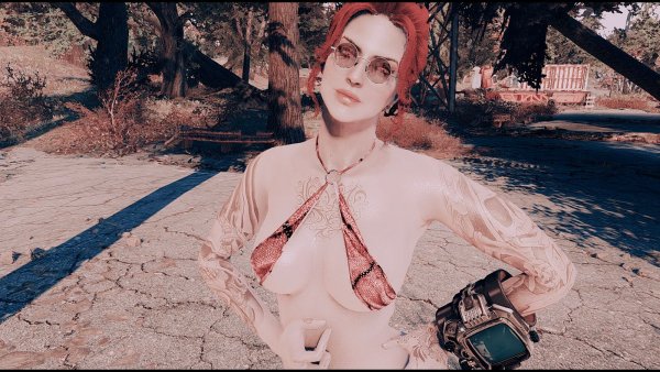 Осталось чуть до поселения.. Fallout-4 (Сборка 7.5)